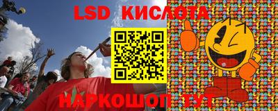 шишки Можга