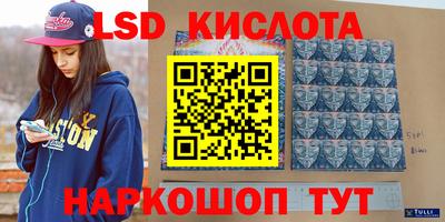 шишки Можга