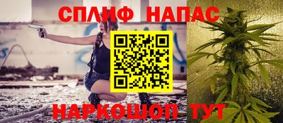 шишки Можга