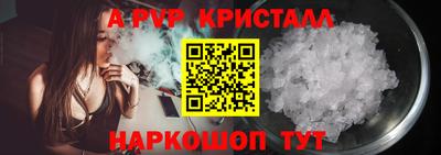 шишки Можга