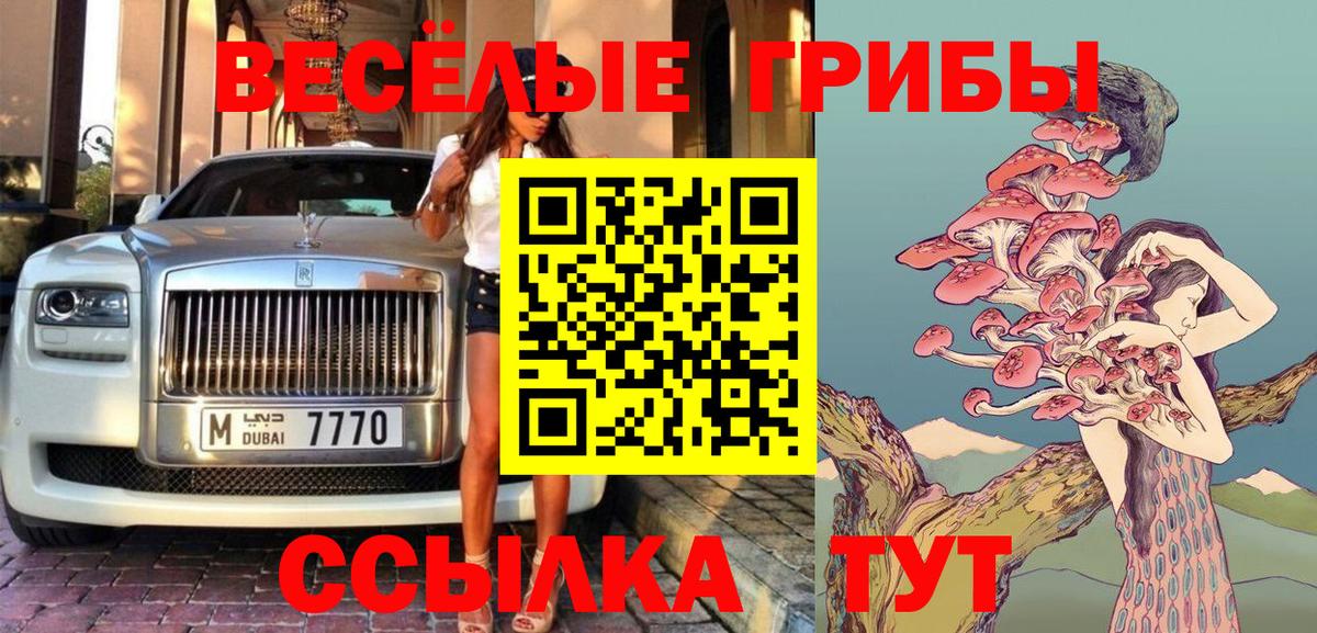 Галлюциногенные грибы Psilocybe  Галлюциногенные грибы Psilocybine cubensis  Вход с VPN  Фурманов 